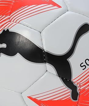 PUMA INDIVIDUAL RISE GRAPHIC BALL (084742-02)