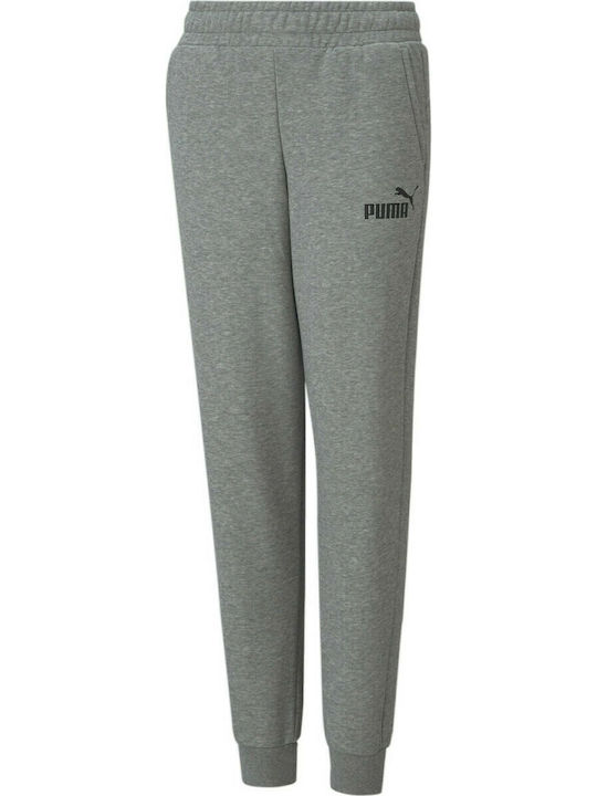 PUMA Essentials Logo Youth Pants (586973-03)