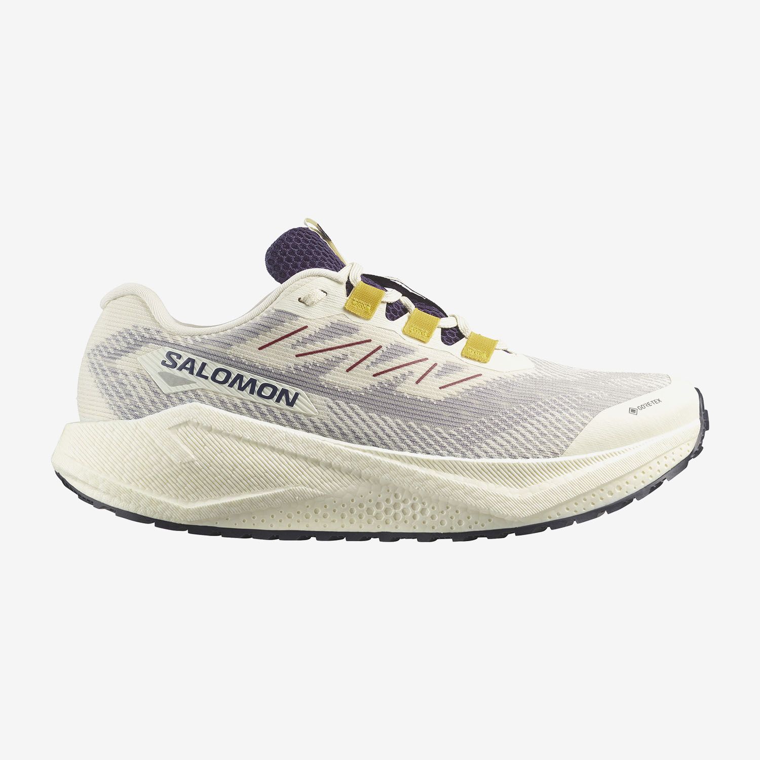 SALOMON AERO BLAZE GRVL GTX (47974100)