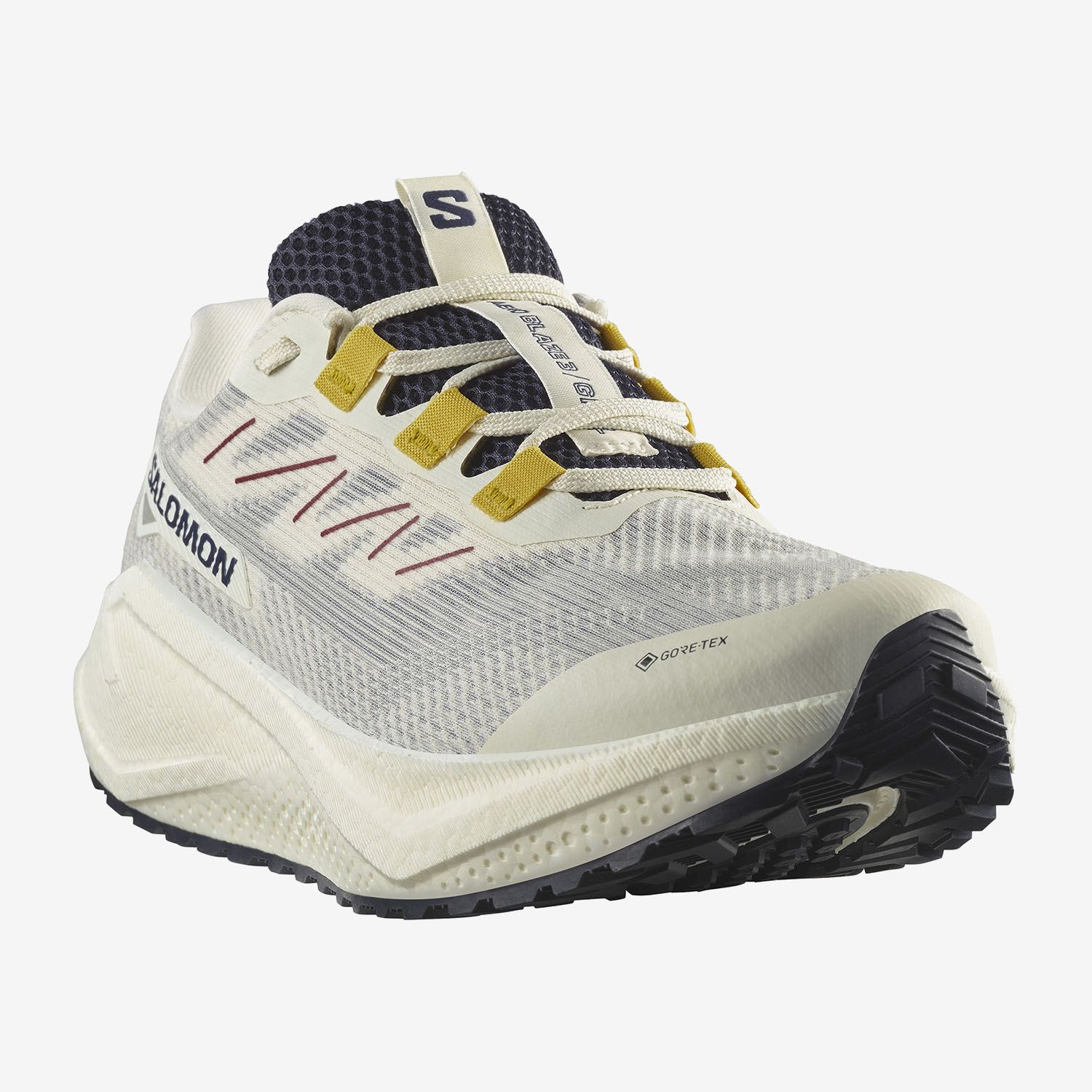 SALOMON AERO BLAZE GRVL GTX (47974100)