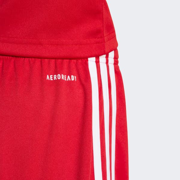 ADIDAS SQUADRA 25 SHO Y (JJ2416)