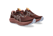 ASICS GEL- GT2000 14 TR (1012B902-600) WMNS