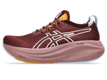 ASICS GEL- NIMBUS 27 TR (1012B908-600) WMNS