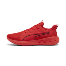 PUMA SOFTRIDE CARSON (310154-03)