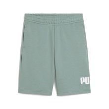 PUMA ESS 1  LOGO SHORTS (684918-30)