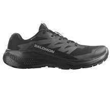 SALOMON ALPHAGLIDE GTX (L47802100)