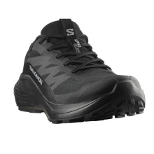SALOMON ALPHAGLIDE GTX (L47802100)