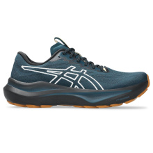 ASICS GEL- GT2000 14  TR  (1011C129-300)