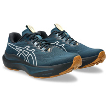 ASICS GEL- GT2000 14  TR  (1011C129-300)