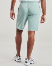 PUMA ESS 2 COLOR No1 LOGO SHORTS 10 TR (684715-30)