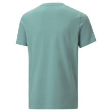 PUMA ESS 2 COLOR LOGO TEE (684708-30)