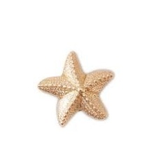 CROCS JIBBITZ CHARMS GOLD STAR FISH (10011621-UNC)