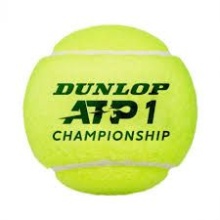 Dunlop ATP Championship (601332)