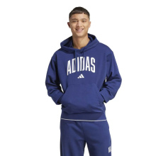 ADIDAS M COLLEGIATE HOODIE (KC3874)