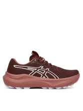 ASICS GEL- GT2000 14 TR (1012B902-600) WMNS