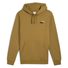 PUMA ESS 2 COLOR No1 LOGO HOODIE FL (684718-69)