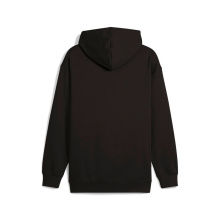 PUMA ESS No1 SMALL LOGO  FL HOODIE (689152-01)