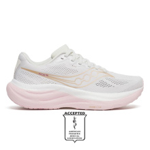 SAUCONY RIDE 19 (S11055-151)