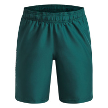 UNDER ARMOUR TECH WVN WORDMARK BOYS SHORTS (1383341-338)