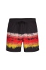 O NEILL HORIZONTAL SWIM SHORTS (2800029-29011M)