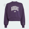 ADIDAS JG CLGT FT SWT (JV7379)