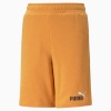 PUMA ESS TR SHORTS B (586989-30)