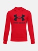 UNDER ARMOUR RIVAL BL FL HOODIE (1379791-713)