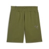 PUMA BETTER ESS 9" SHORTS (678827-33)